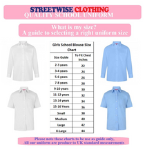 Load image into Gallery viewer, Girls School Uniform Short Sleeves Blue Blouse Shirt