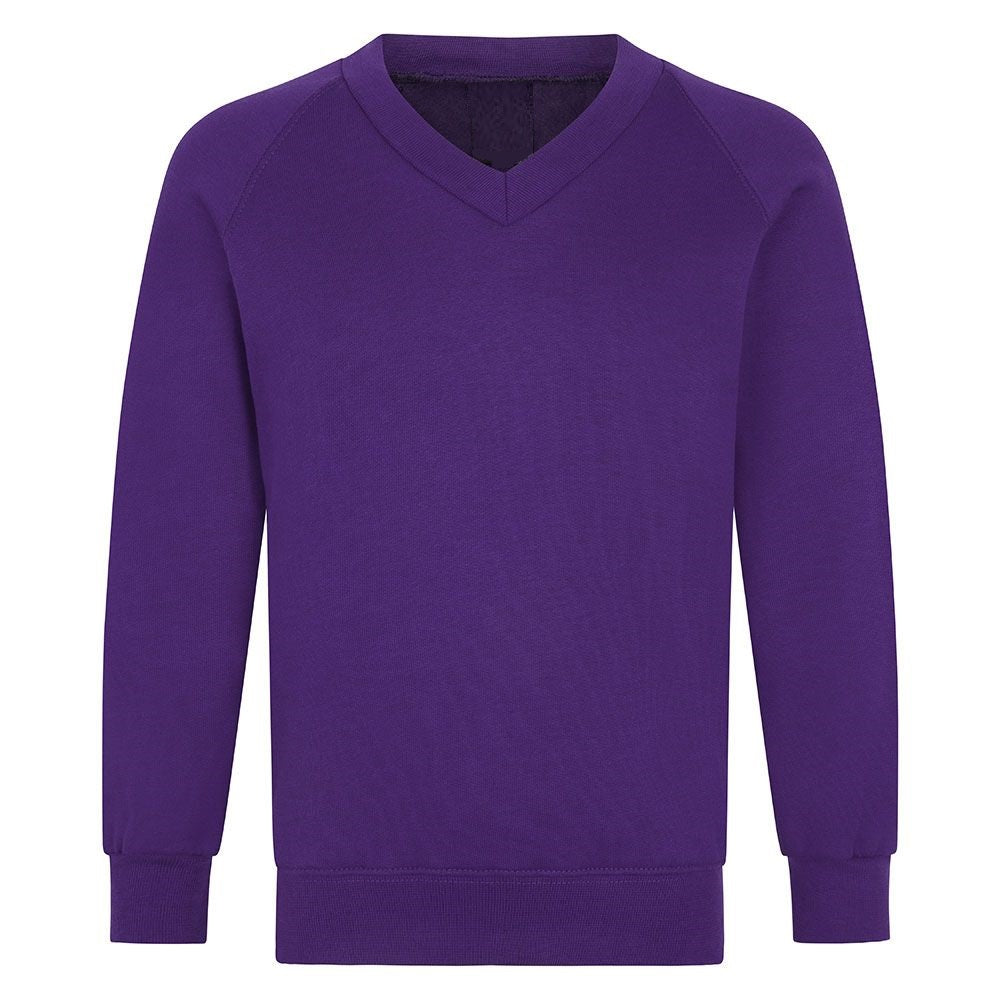 Boys Purple V-Neck School Jumpers