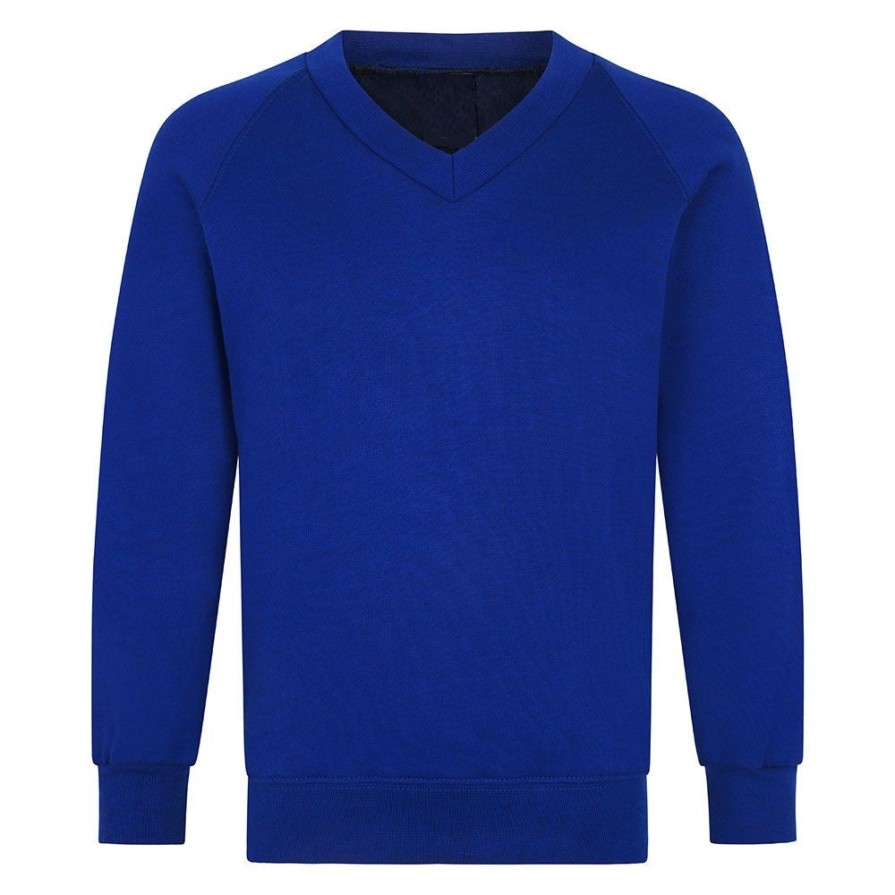 Boys Royal Blue V-Neck  School Jumpers