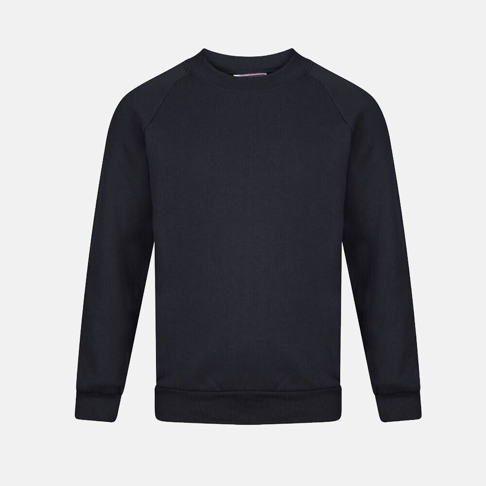 Boys Round Neck School Jumpers